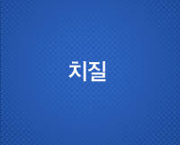 치질